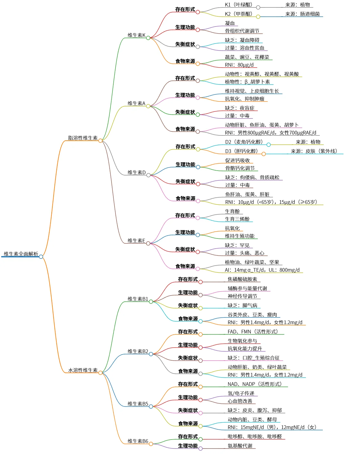 维生素全面解析:脂溶性与水溶性维生素的区别与功能