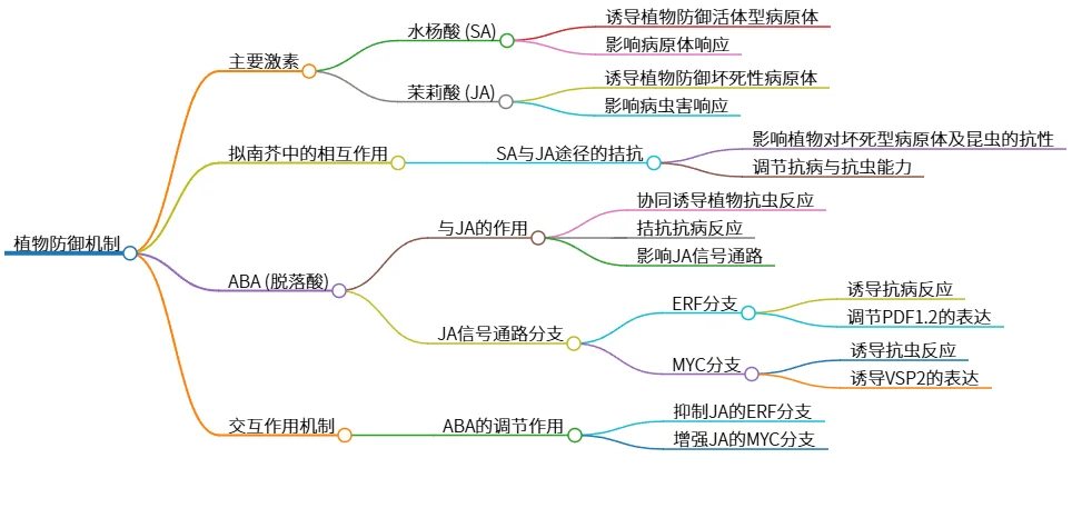 植物防御机制的信号通路与相互作用解析