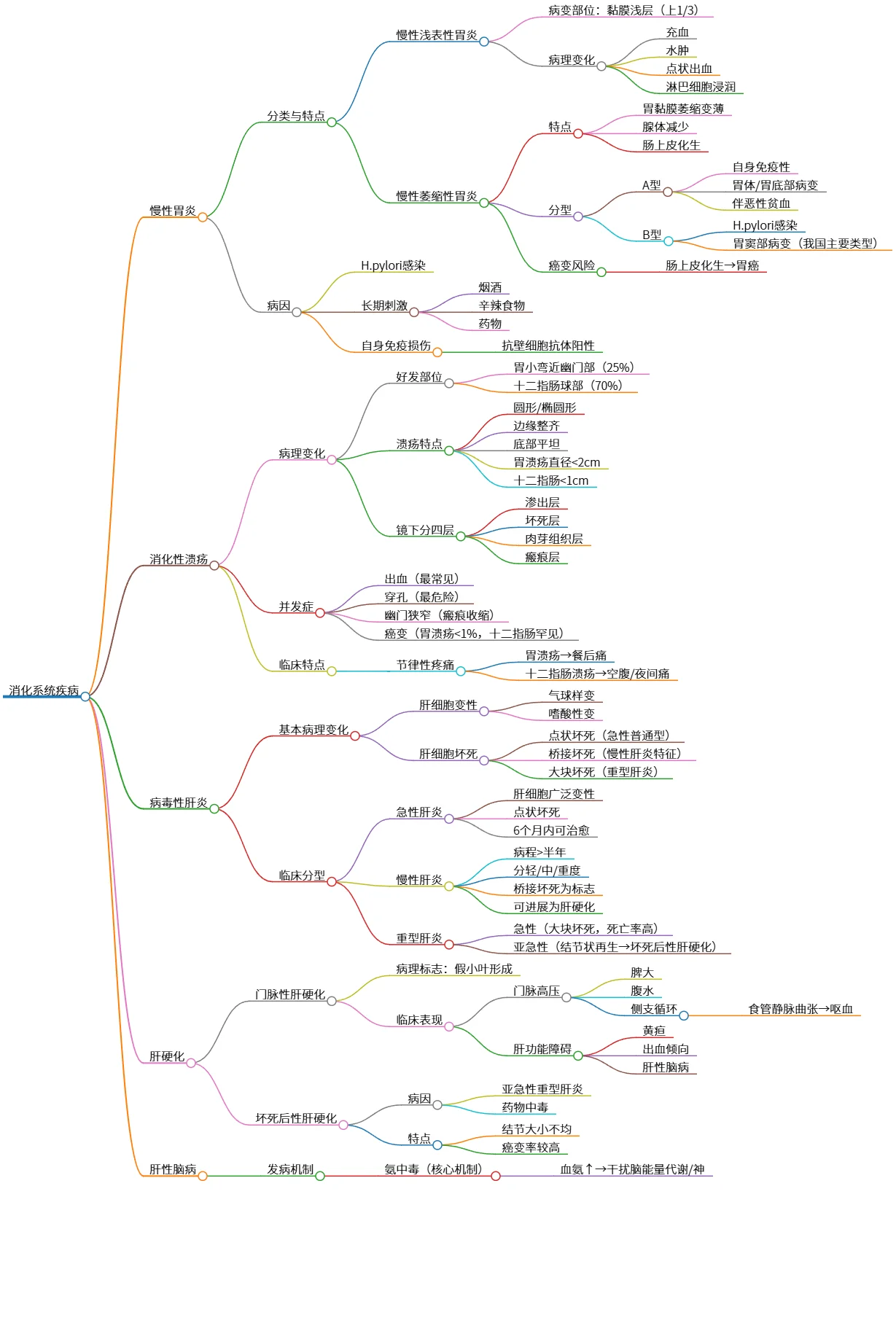 消化系统疾病综合知识总结与病理特征分析
