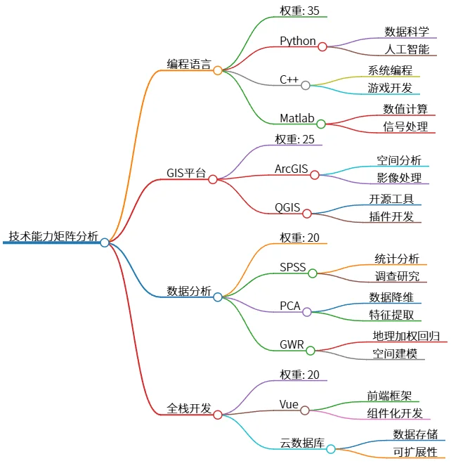 技术能力矩阵分析:编程、GIS、数据分析与全栈开发