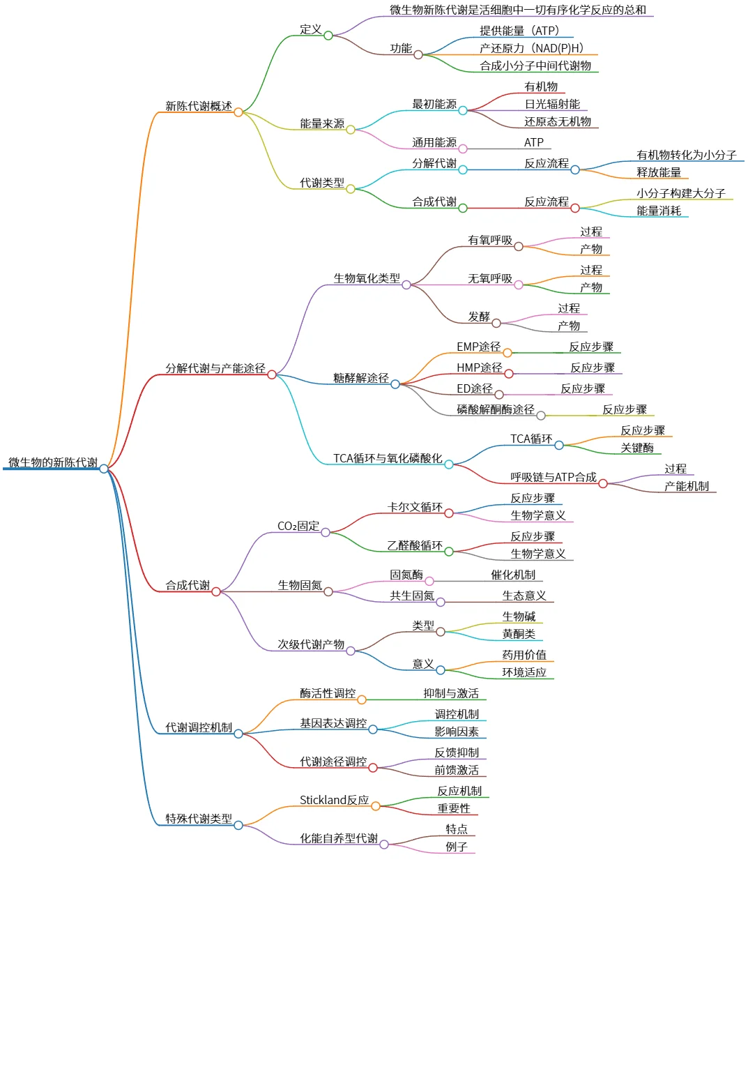 微生物学第五章:微生物的新陈代谢与代谢途径解析