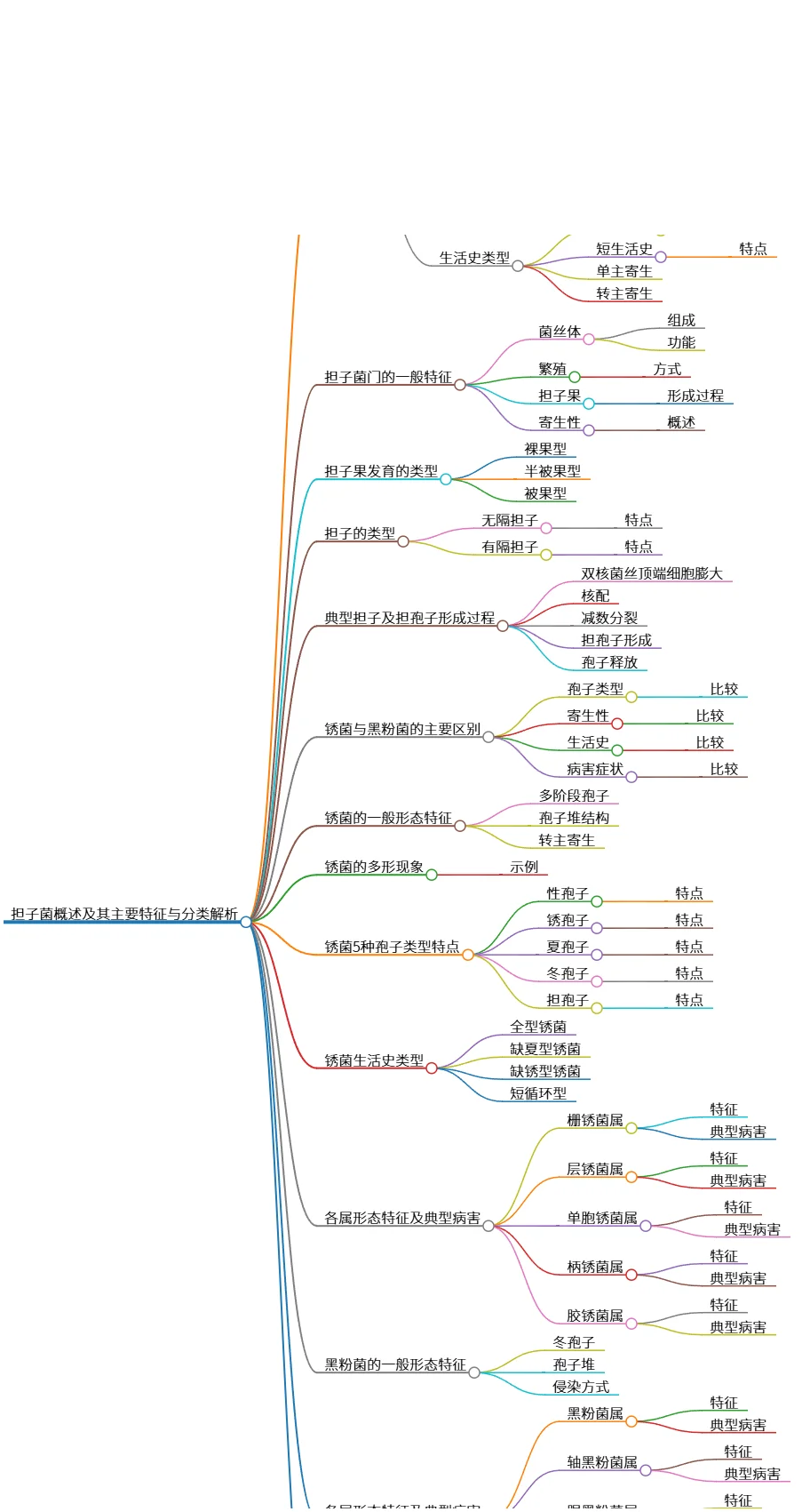 担子菌概述及其主要特征与分类解析