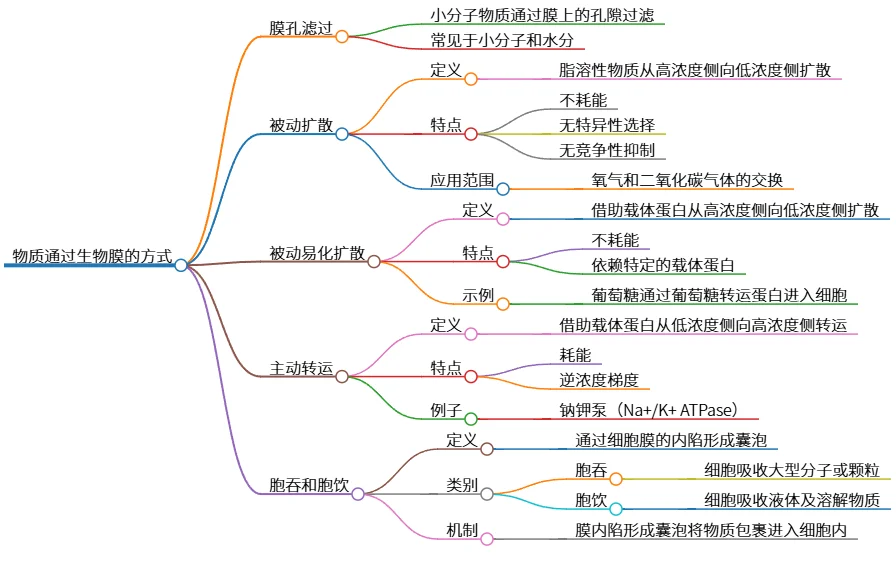 物质通过生物膜的方式及其机制探讨