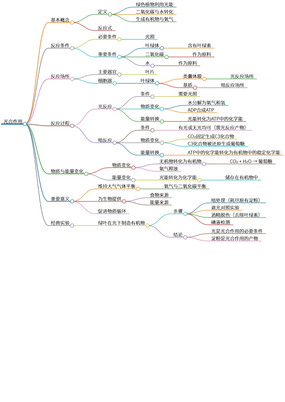 光合作用的基本概念、过程及其重要意义解析