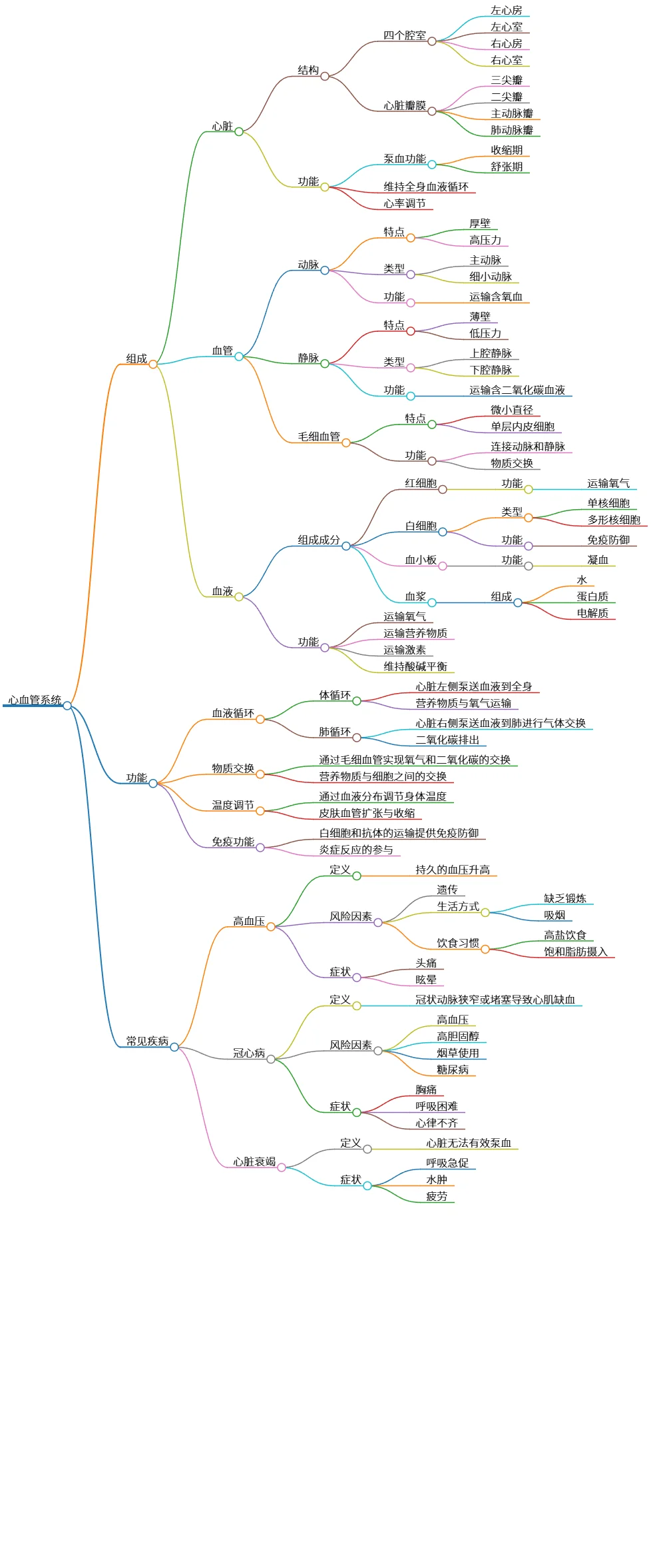 心血管系统的组成、功能与常见疾病分析