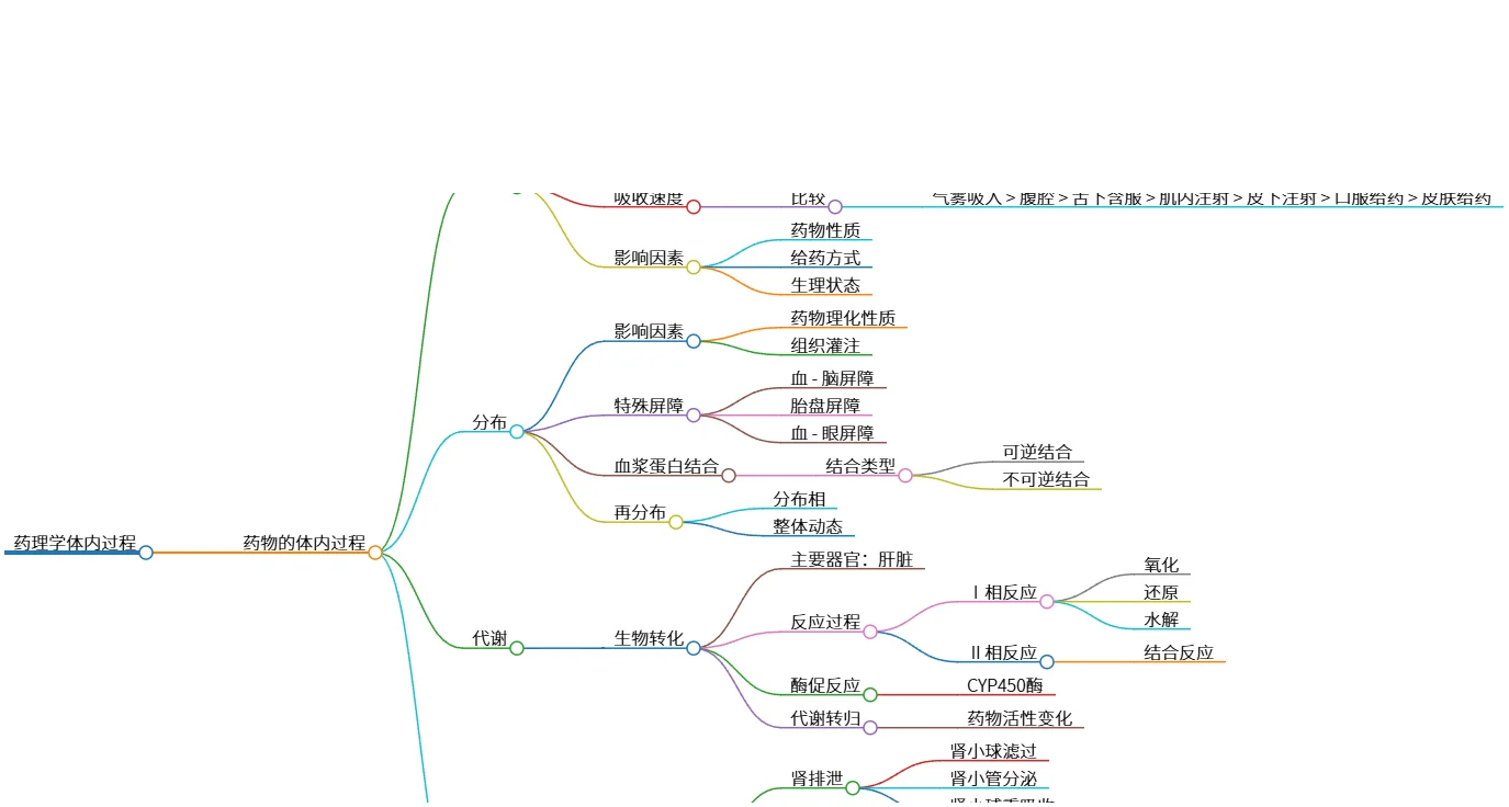 药理学体内过程:吸收、分布、代谢与排泄分析