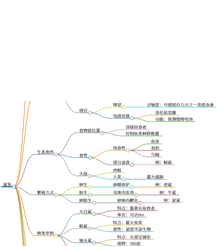 鲨鱼的基本信息、特征、生态角色与保护现状