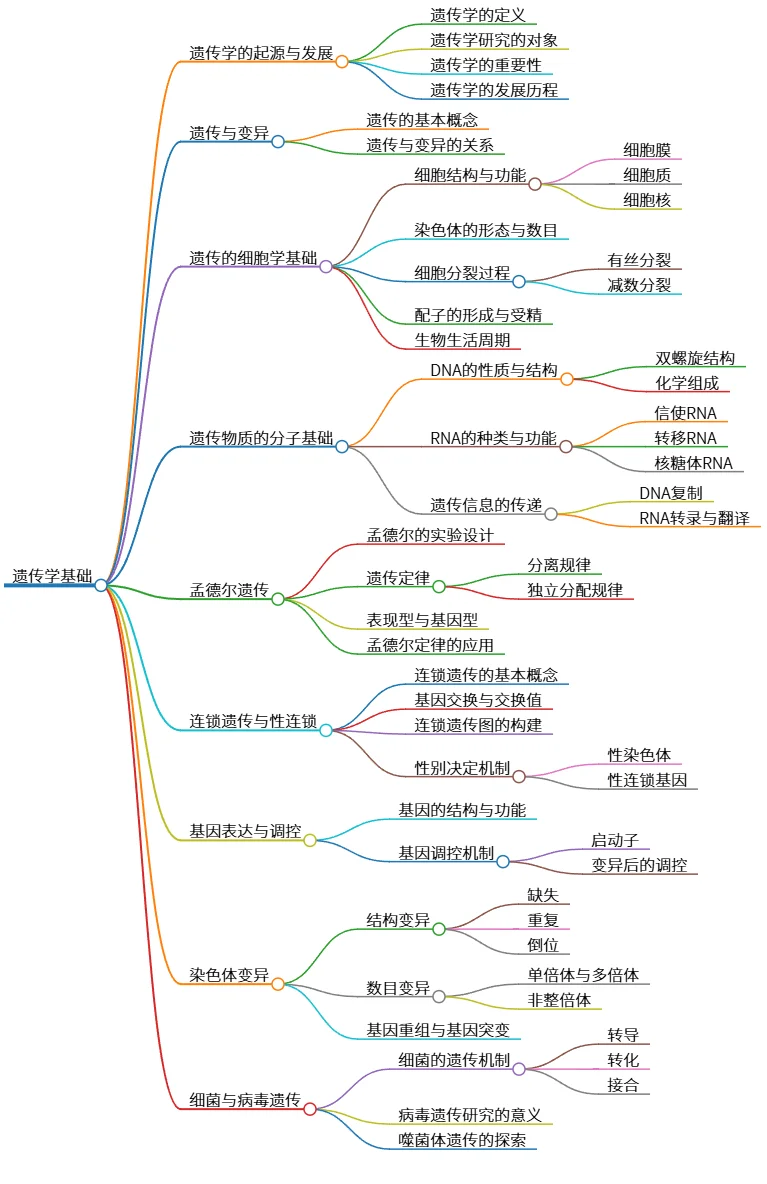 遗传学基础:细胞、分子、孟德尔及染色体变异