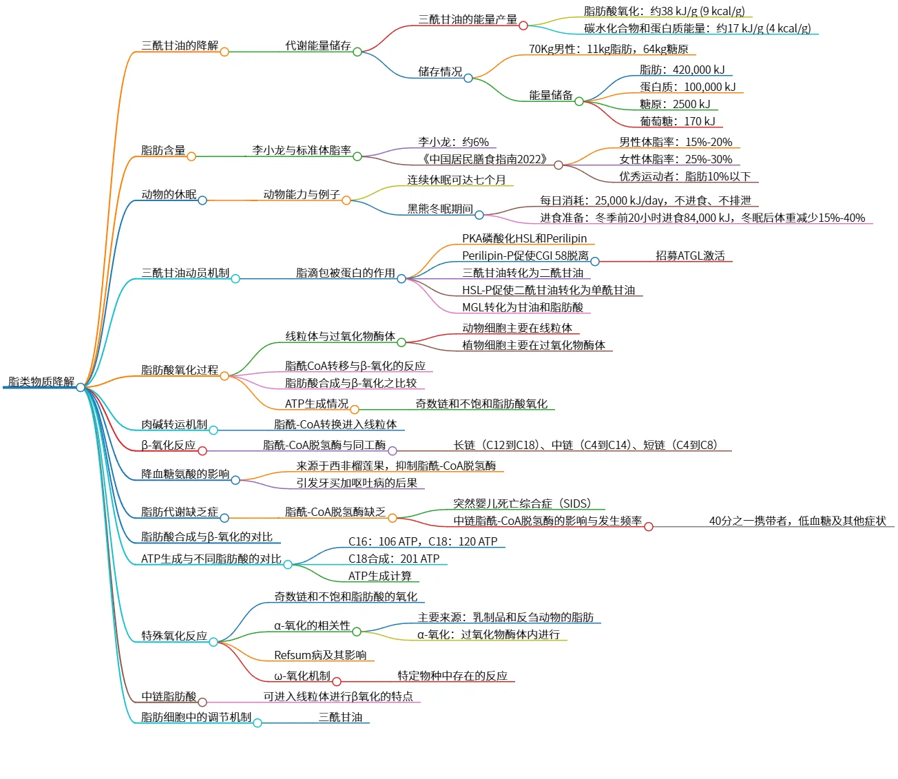 脂类物质降解与能量代谢研究概述