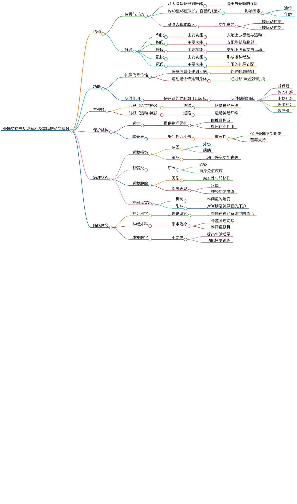 脊髓结构与功能解析及其临床意义探讨