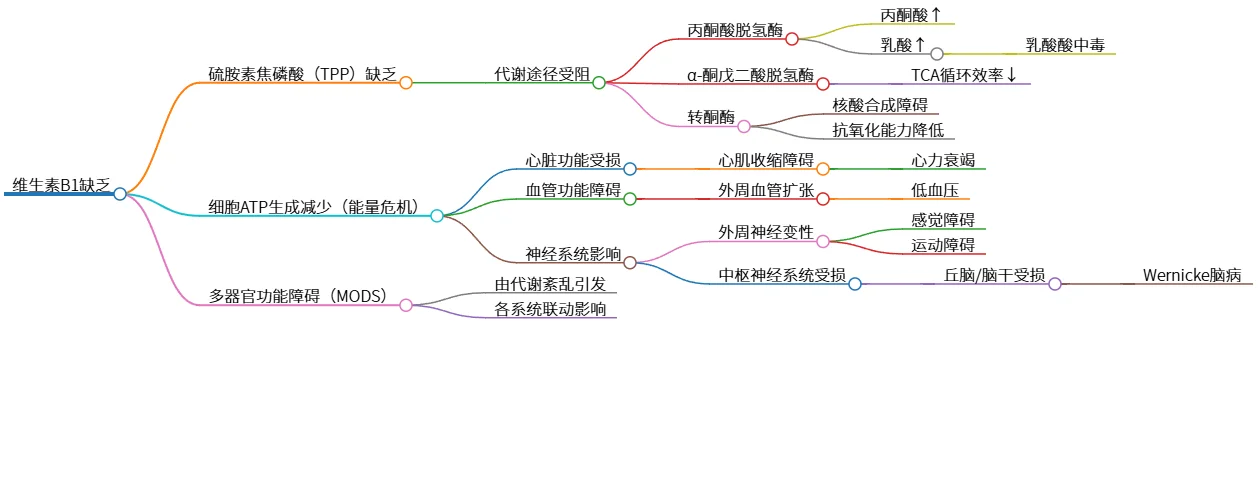 维生素B1缺乏导致的多种代谢及功能障碍