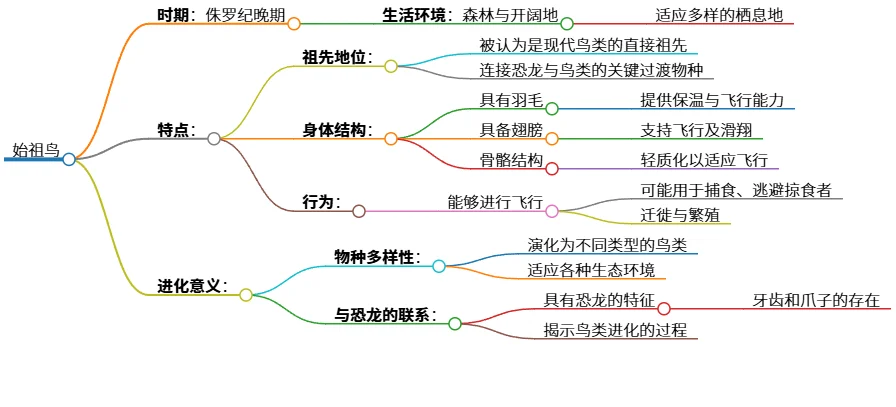 鸟类:会飞的恐龙后代及其始祖鸟