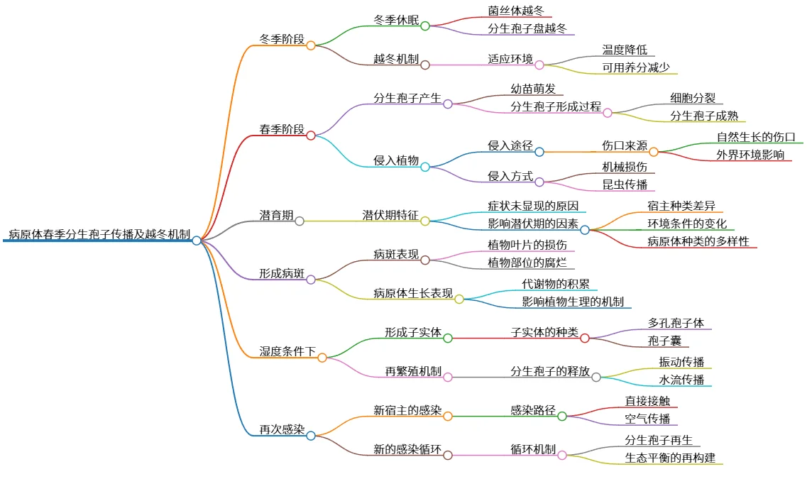 病原体春季分生孢子传播及越冬机制