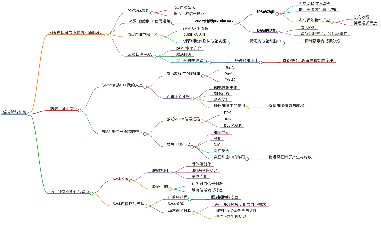 信号转导机制：G蛋白偶联及其下游信号通路分析