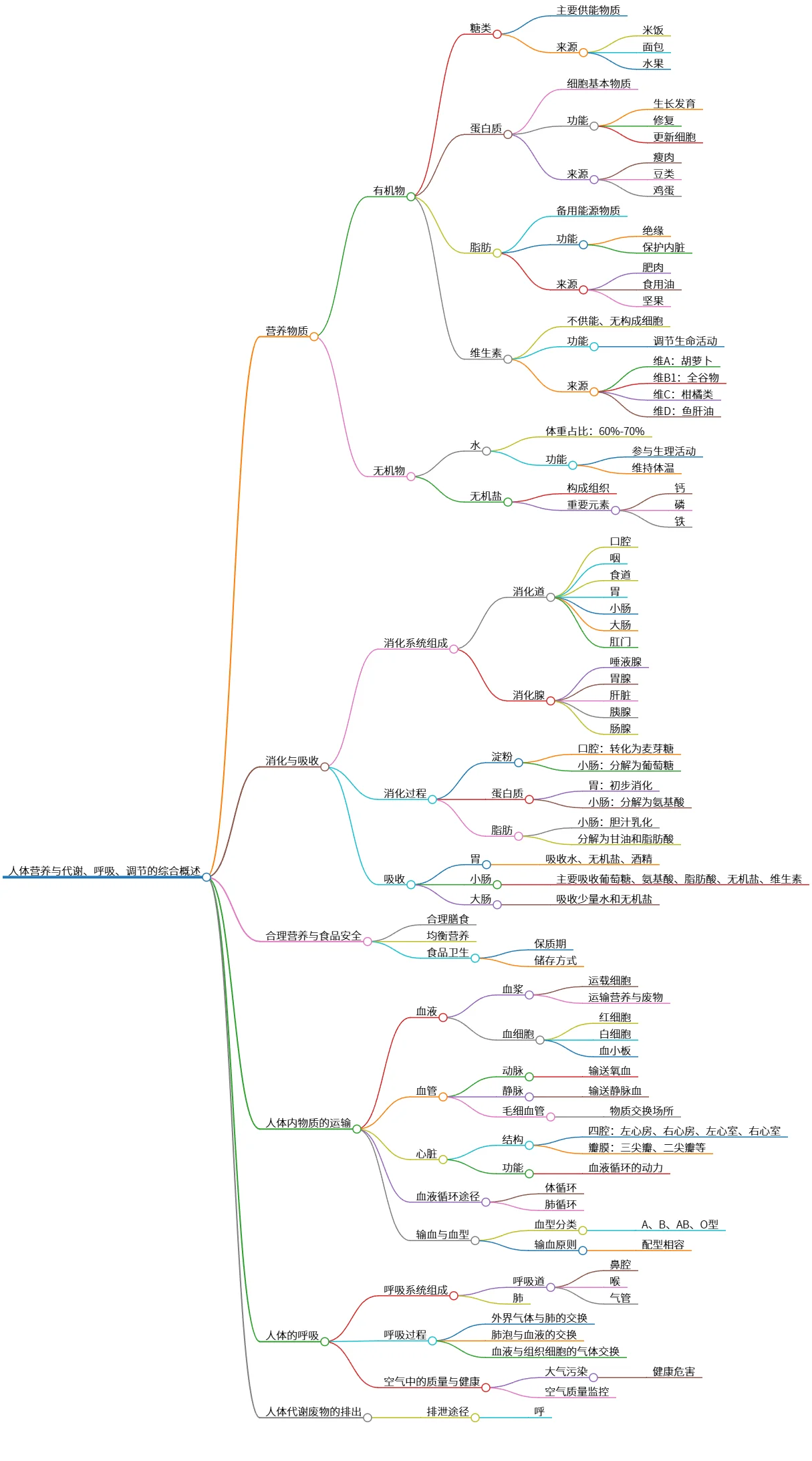 人体营养与代谢、呼吸、调节的综合概述