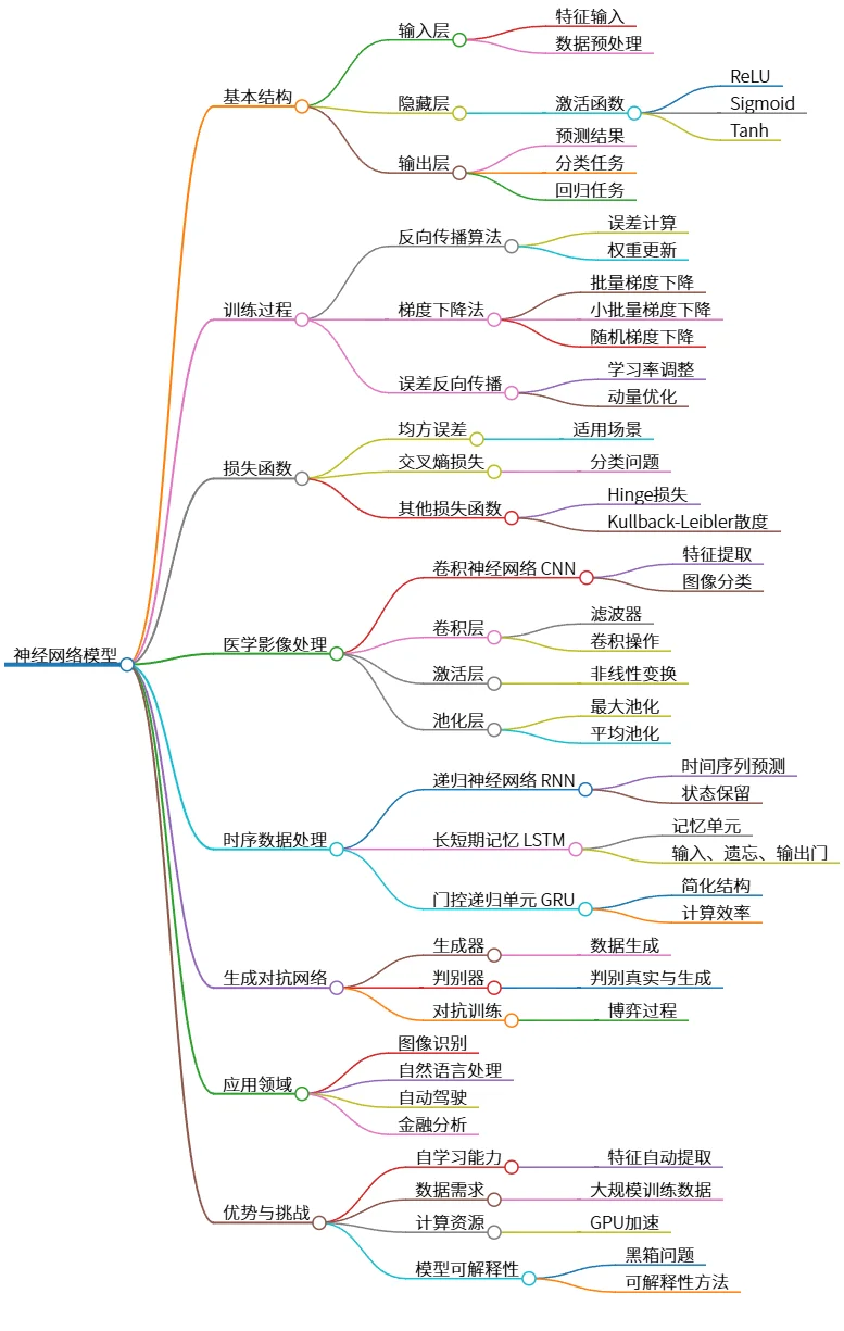 神经网络模型：结构、训练、应用及挑战