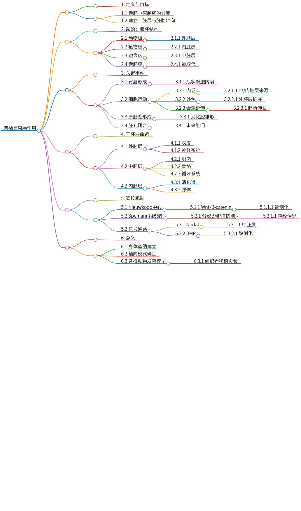 两栖类原肠作用的定义、机制及其发育意义