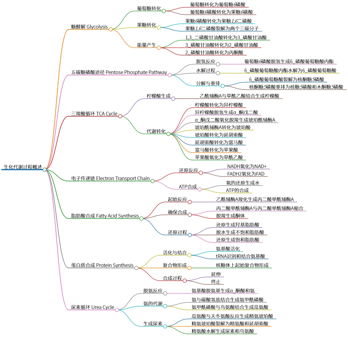 生化代谢过程概述：糖酵解、TCA循环与合成途径解析