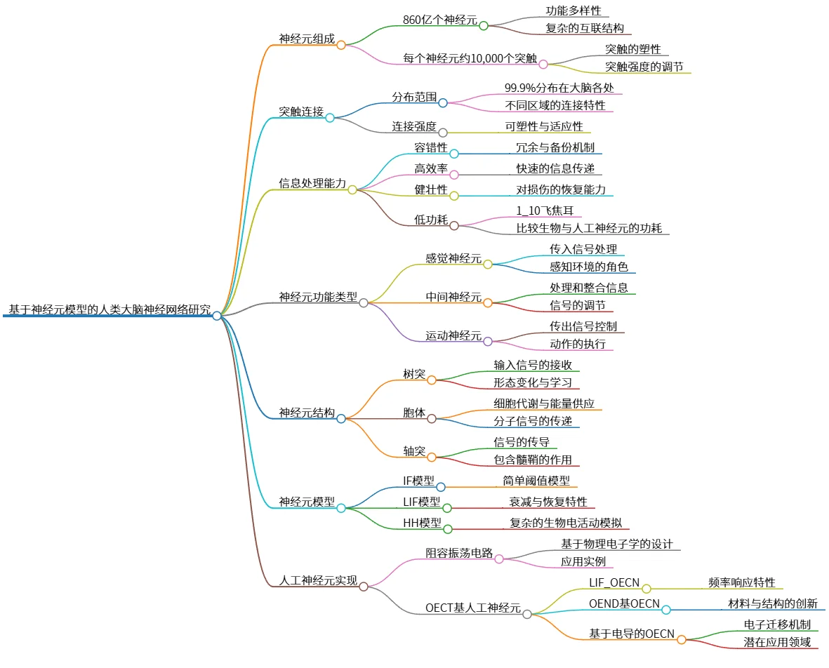 基于神经元模型的人类大脑神经网络研究