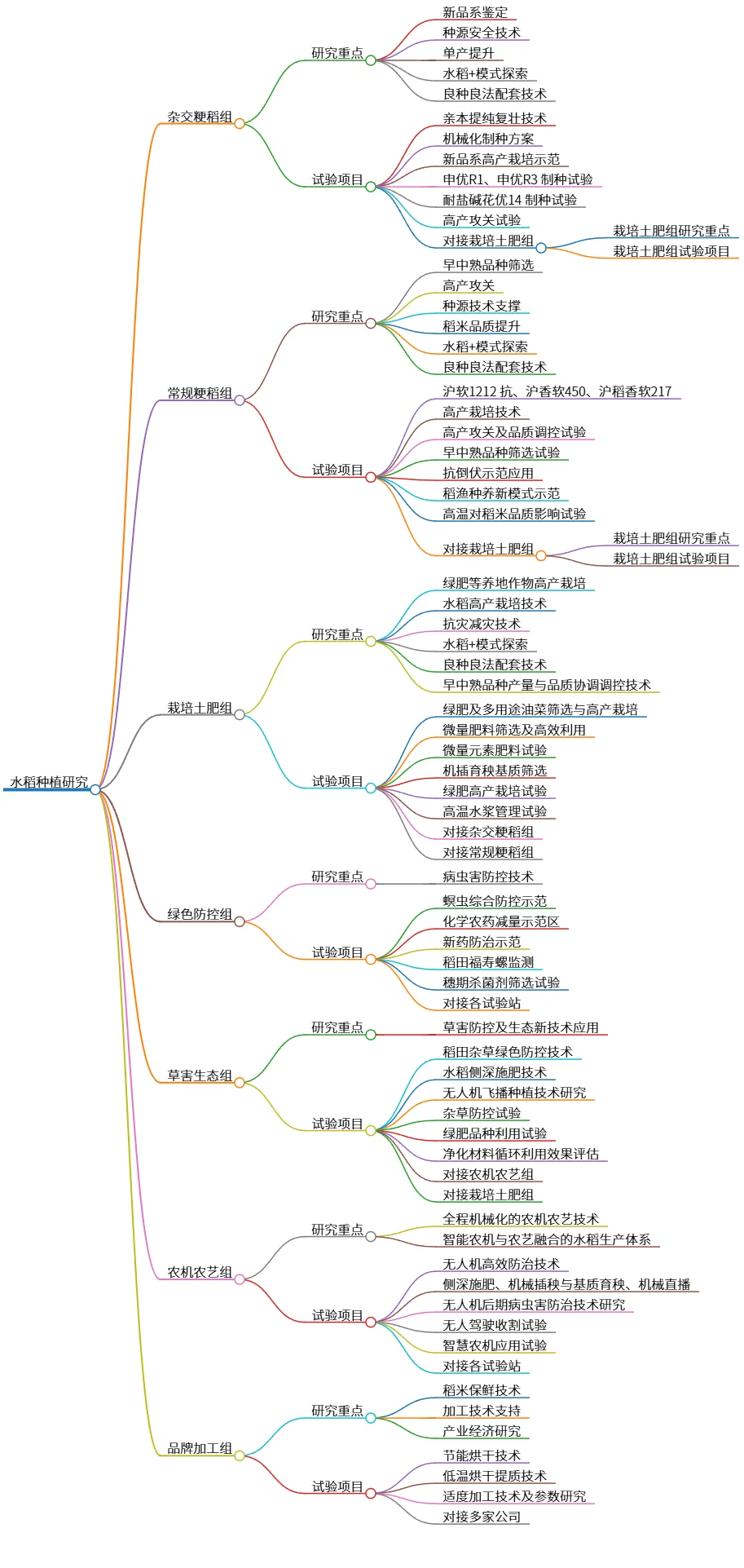 水稻种植研究：各组研究重点与试验项目