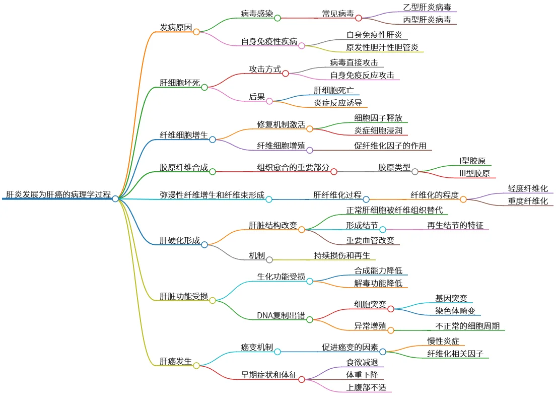 肝炎发展为肝癌的病理学过程