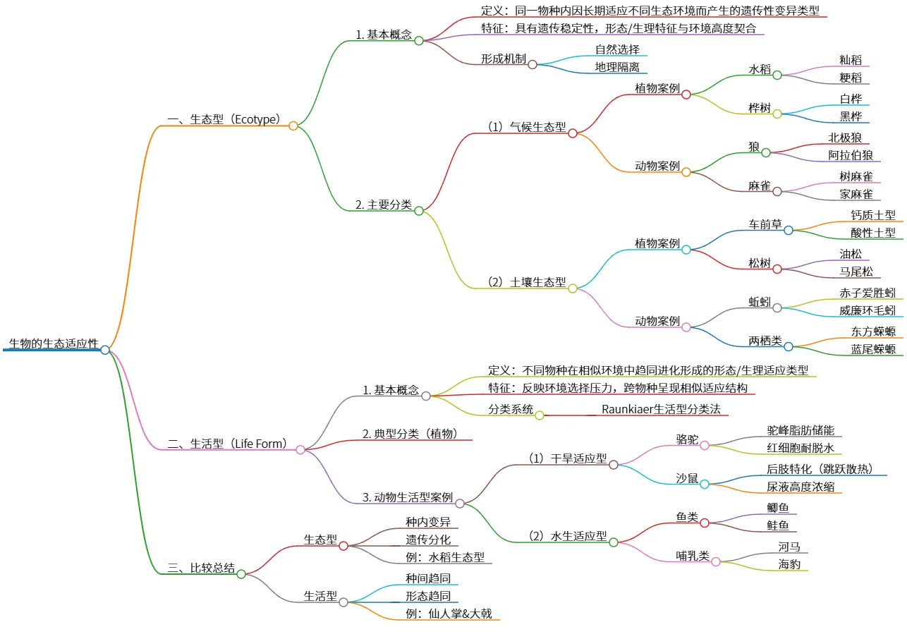 生物的生态适应性：生态型与生活型的比较分析