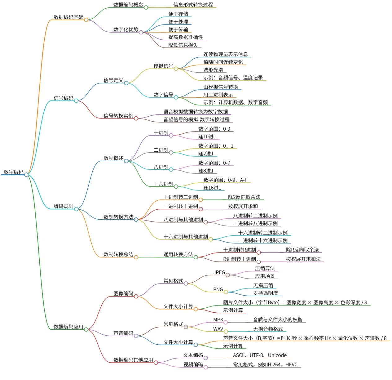 数字编码：基础概念、信号转换与应用详解