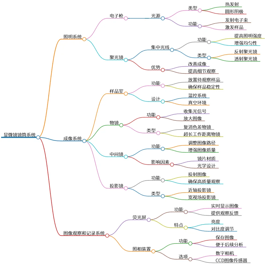 显微镜镜筒系统：照明、成像与图像记录