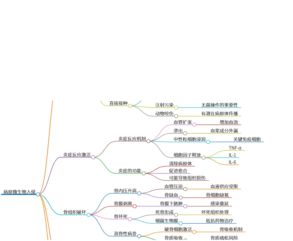 病原微生物入侵导致骨组织破坏及慢性化过程