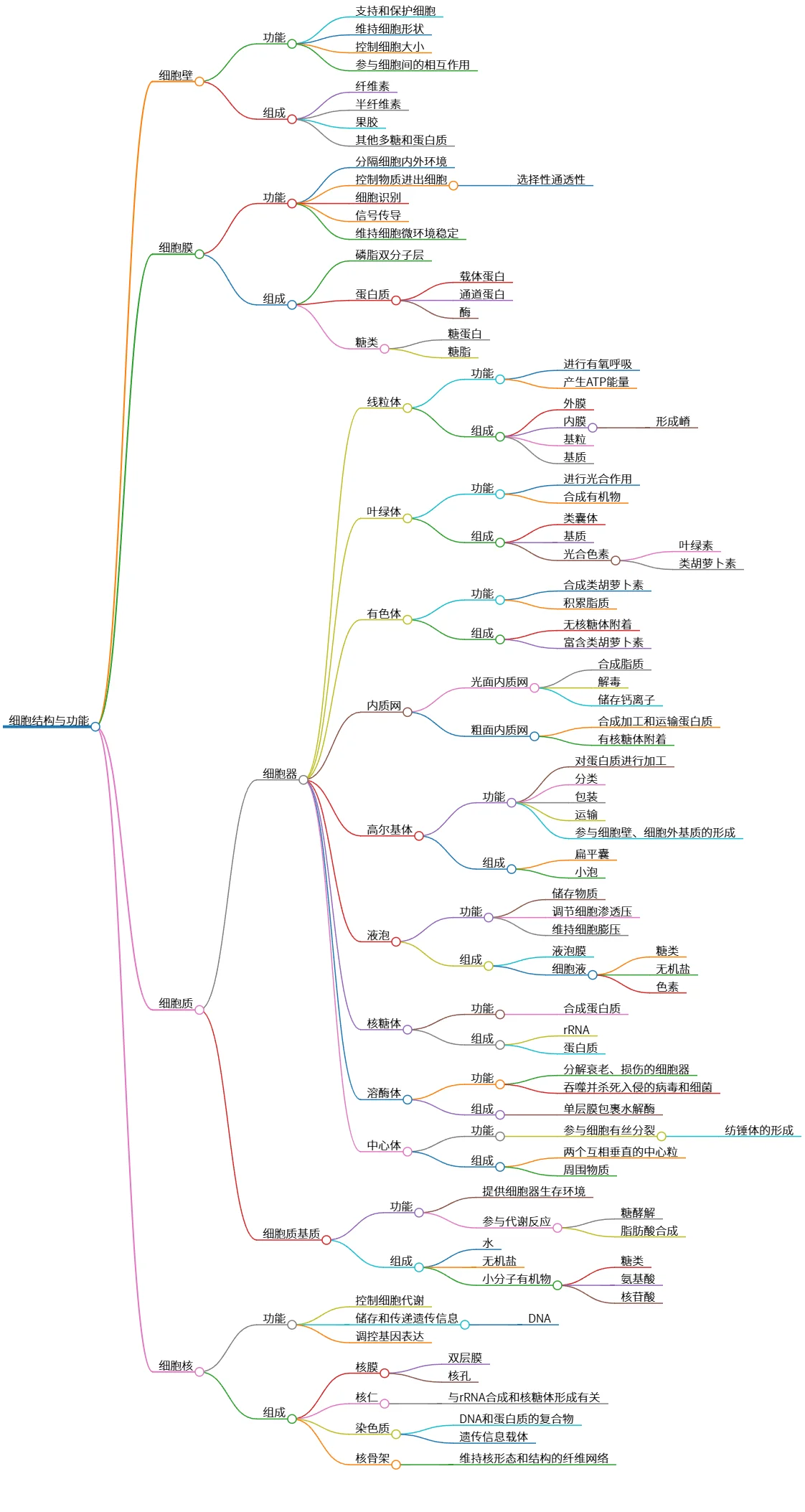 细胞结构与功能：细胞壁、膜、质及核详细解析