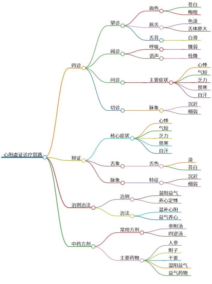 心阳虚证诊疗思路：四诊、辩证、治则与方药