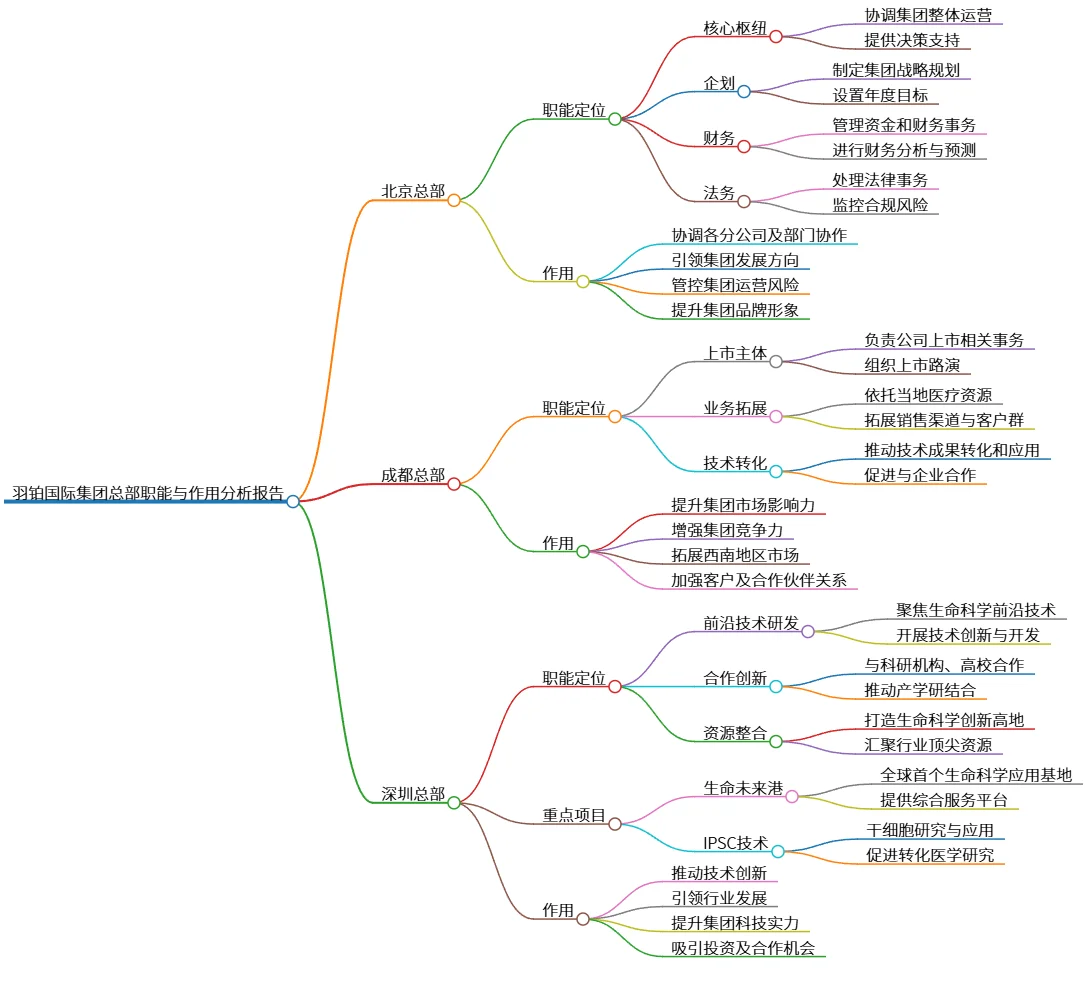 羽铂国际集团总部职能与作用分析报告