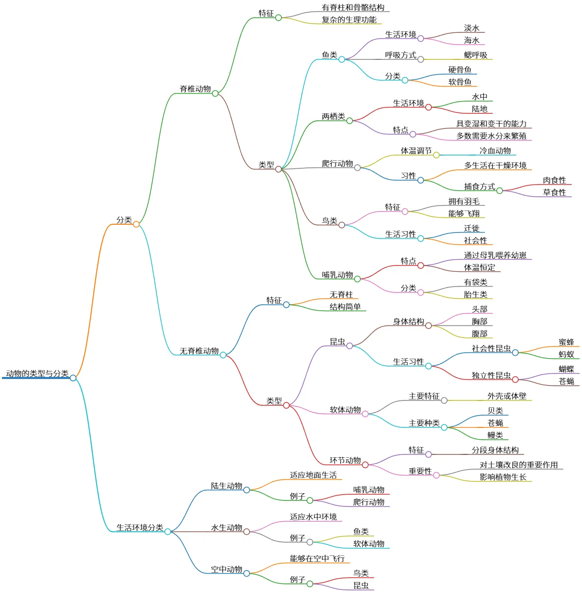 动物的类型与分类：脊椎与无脊椎动物解析