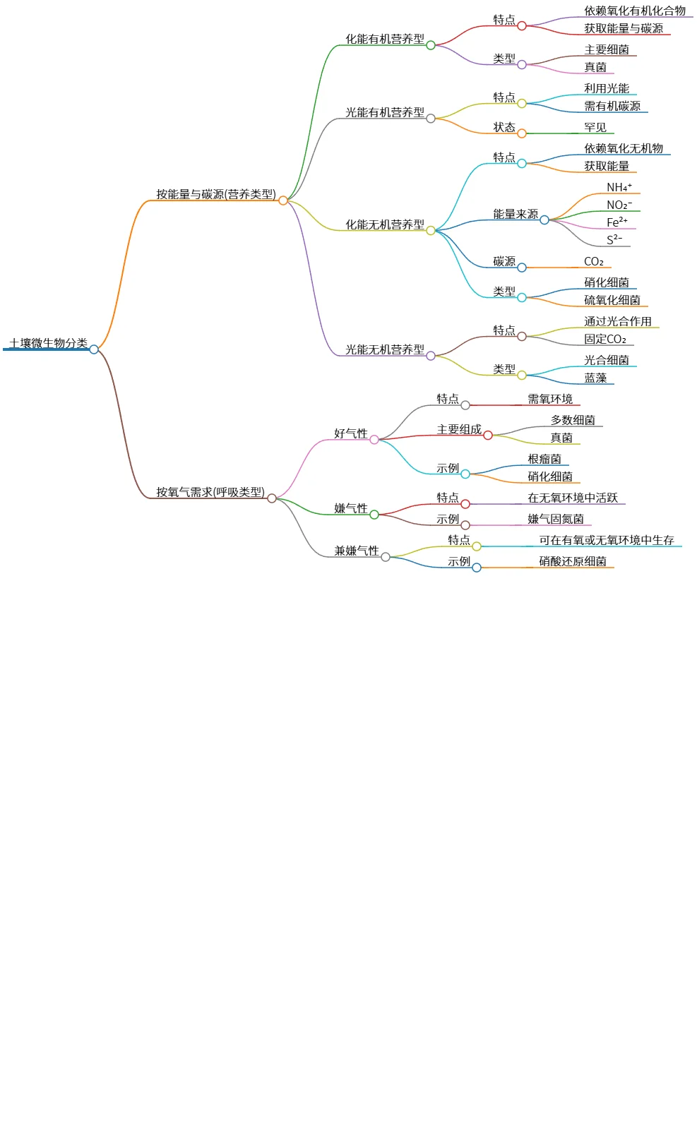 土壤微生物分类：按营养类型与呼吸类型探讨