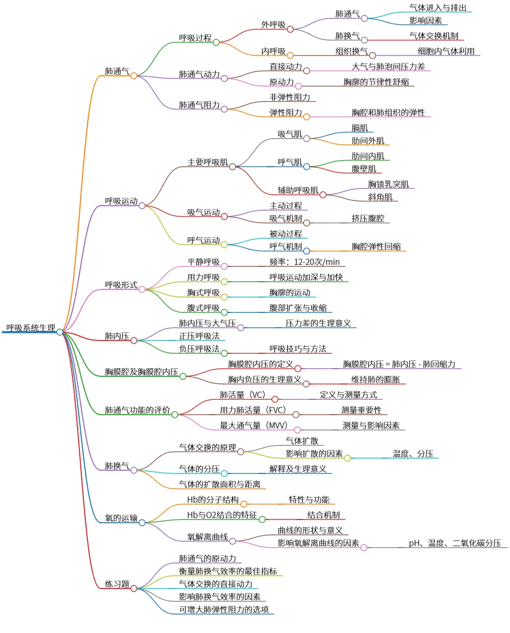 呼吸系统生理：肺通气、换气及氧运输