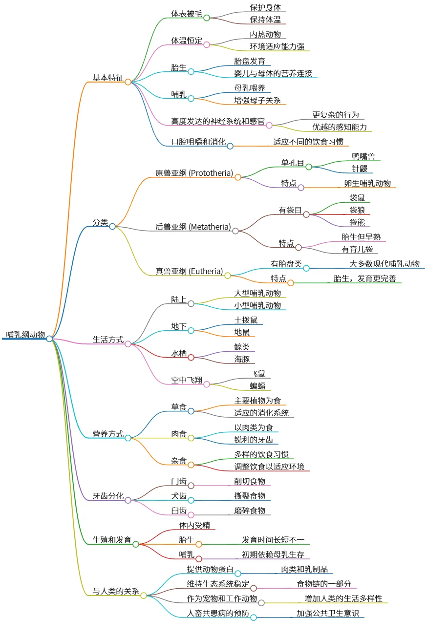 哺乳纲动物：特征、分类、生活方式及与人类关系
