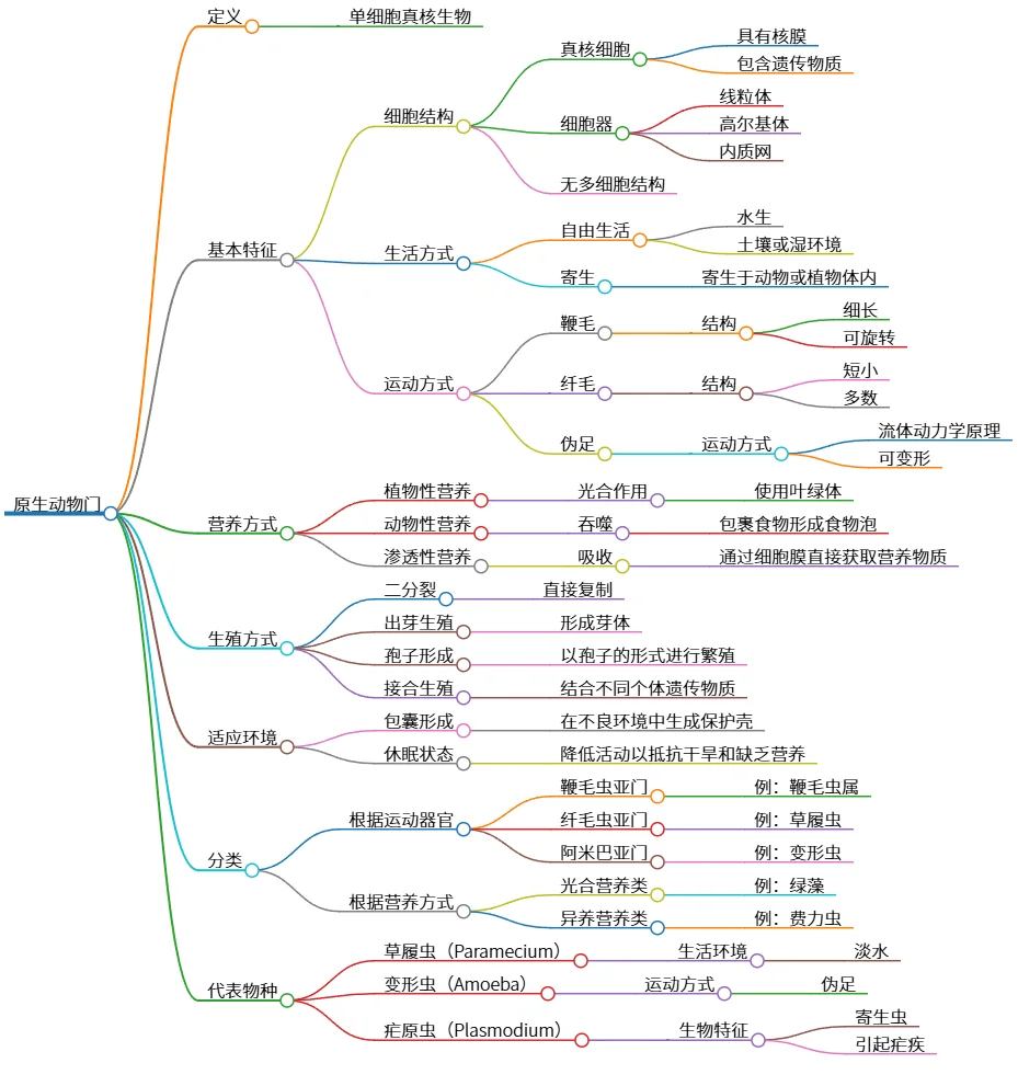 原生动物门：单细胞真核生物的特征与分类