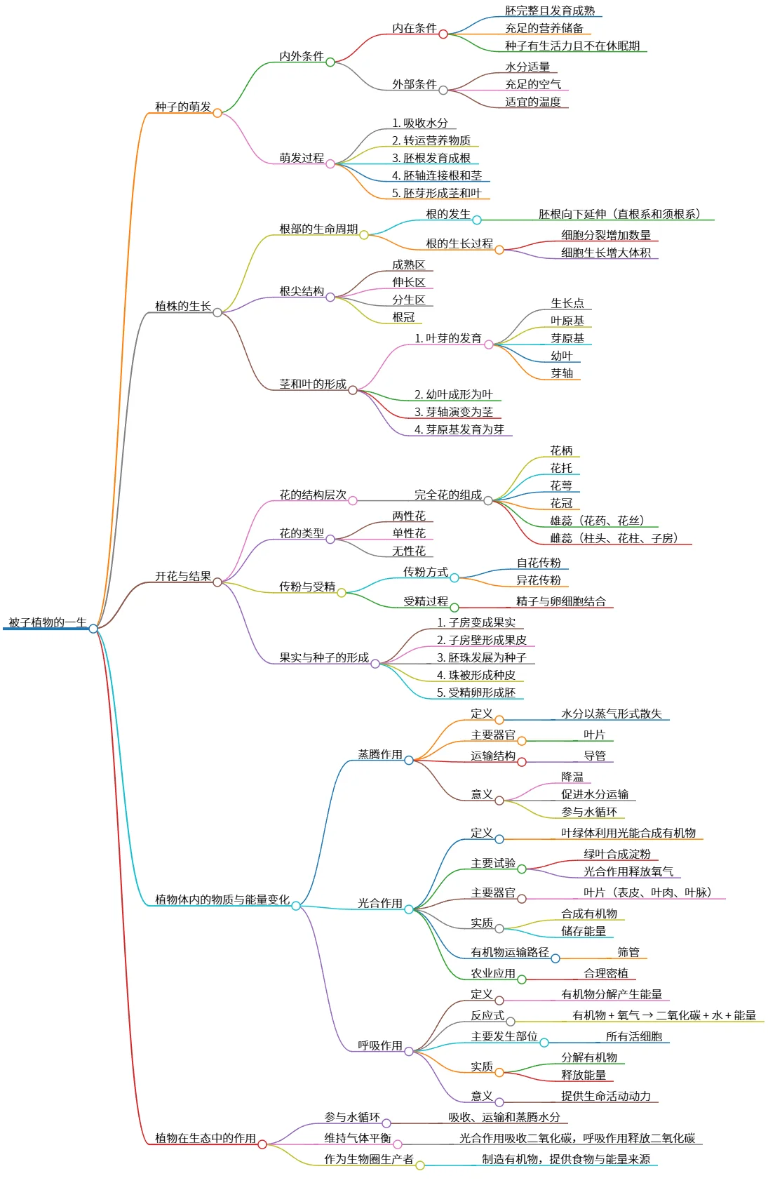 植物的生活与生态作用：被子植物的一生分析