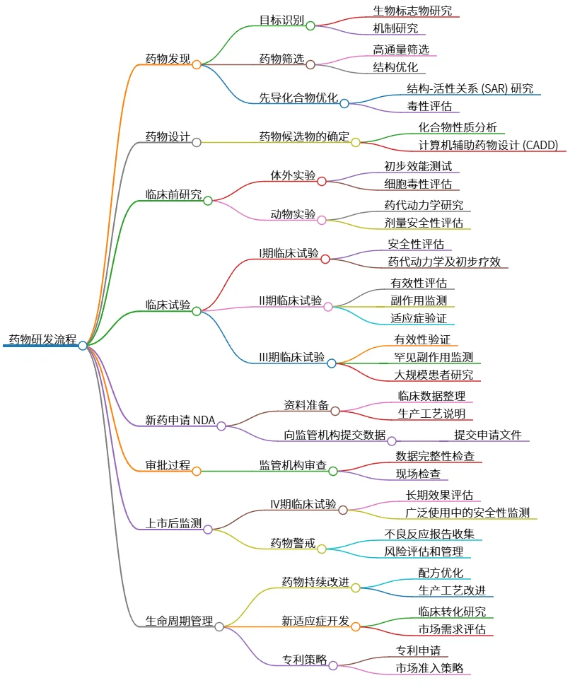 药物研发流程：从发现到上市后监测