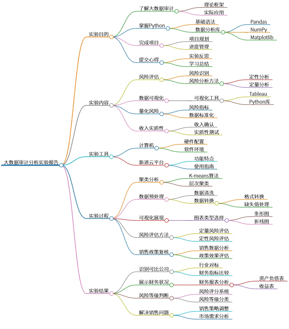 大数据审计分析实验报告：实现风险评估与可视化