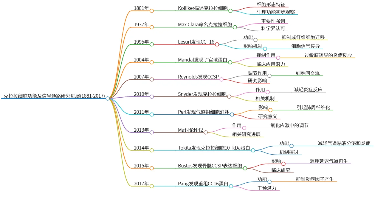 克拉拉细胞功能及信号通路研究进展(1881-2017)