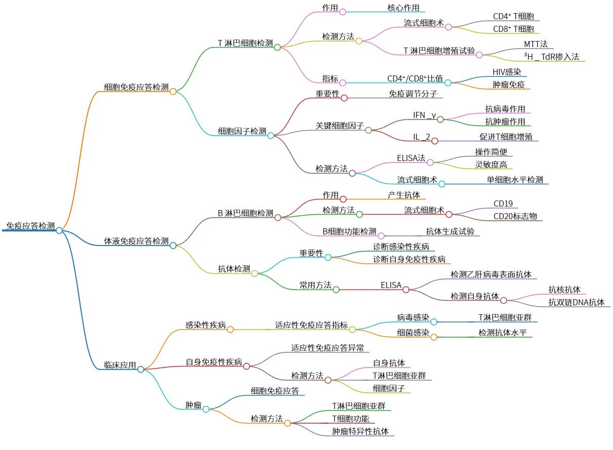 免疫应答检测：细胞与体液应答的临床应用