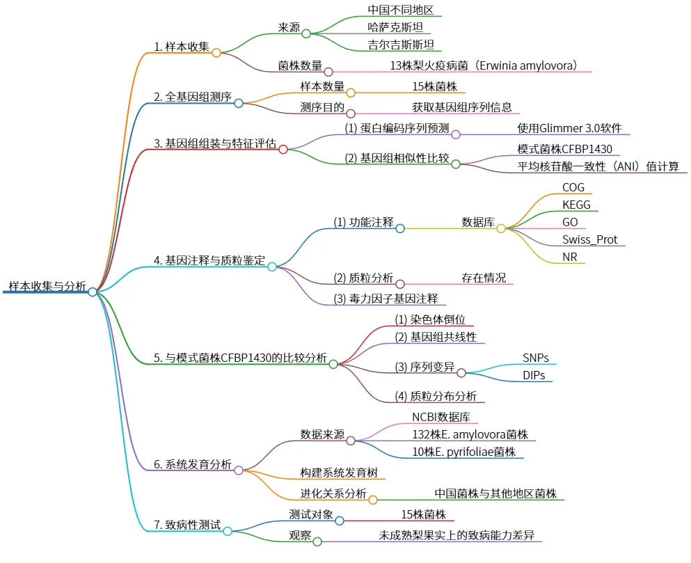 样本收集与分析：梨火疫病菌的研究流程