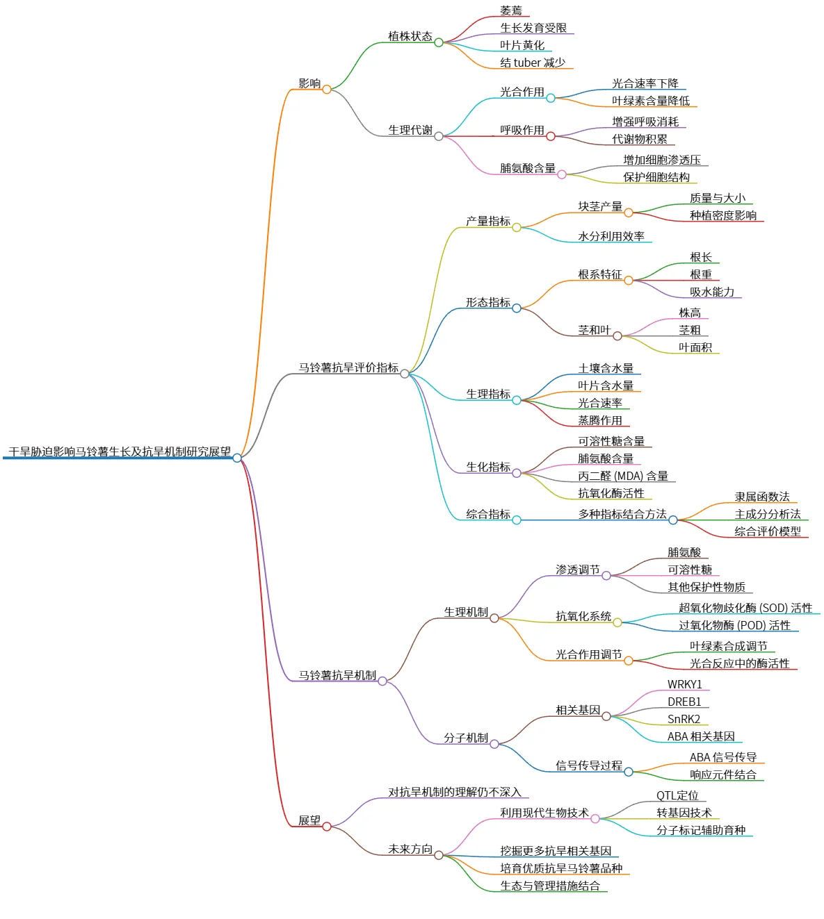 干旱胁迫影响马铃薯生长及抗旱机制研究展望