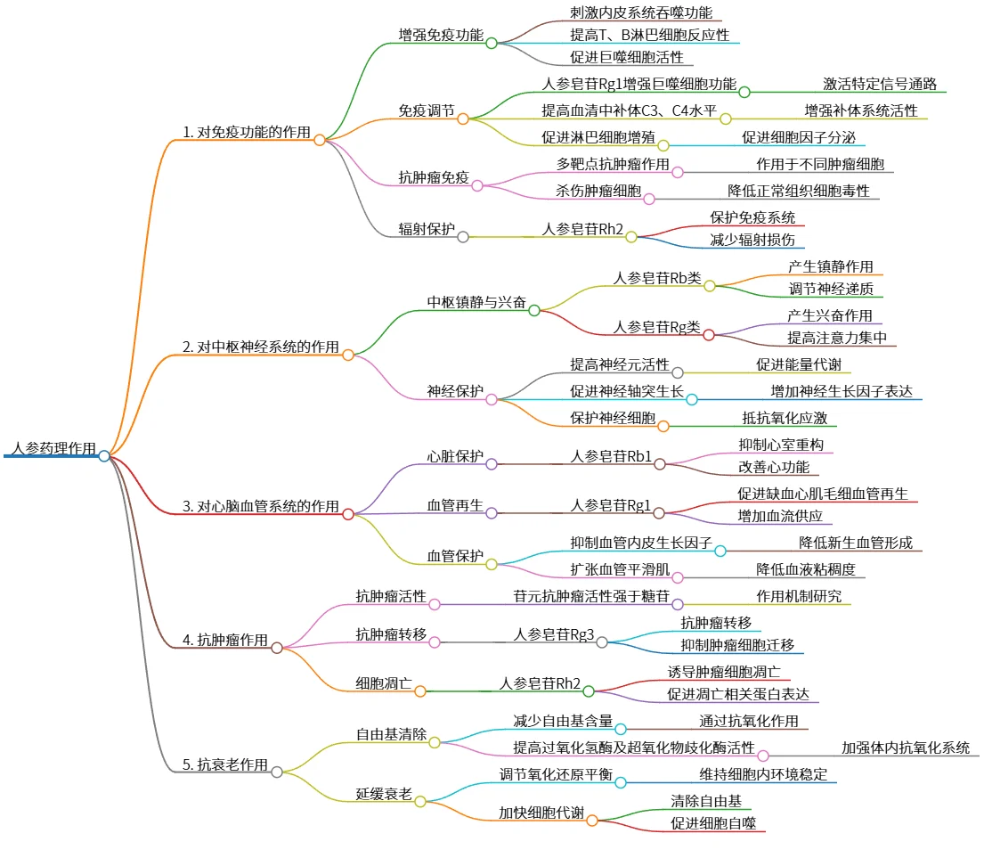 人参药理作用：免疫、神经、心血管及抗肿瘤功效