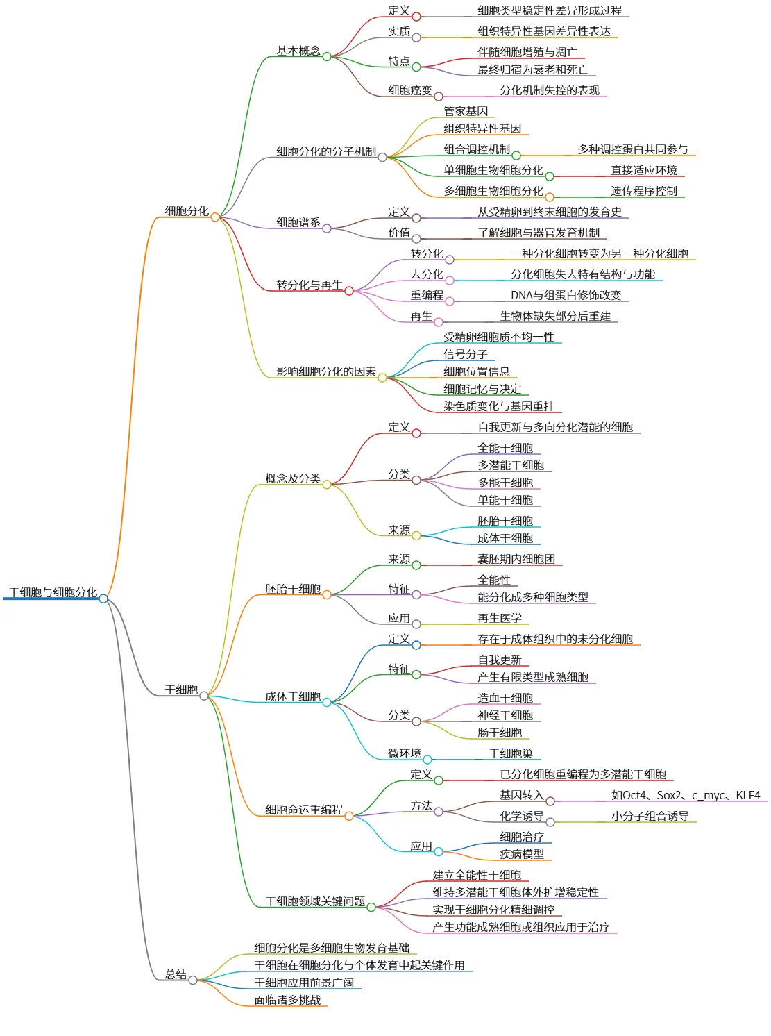 干细胞与细胞分化：机制、应用与挑战