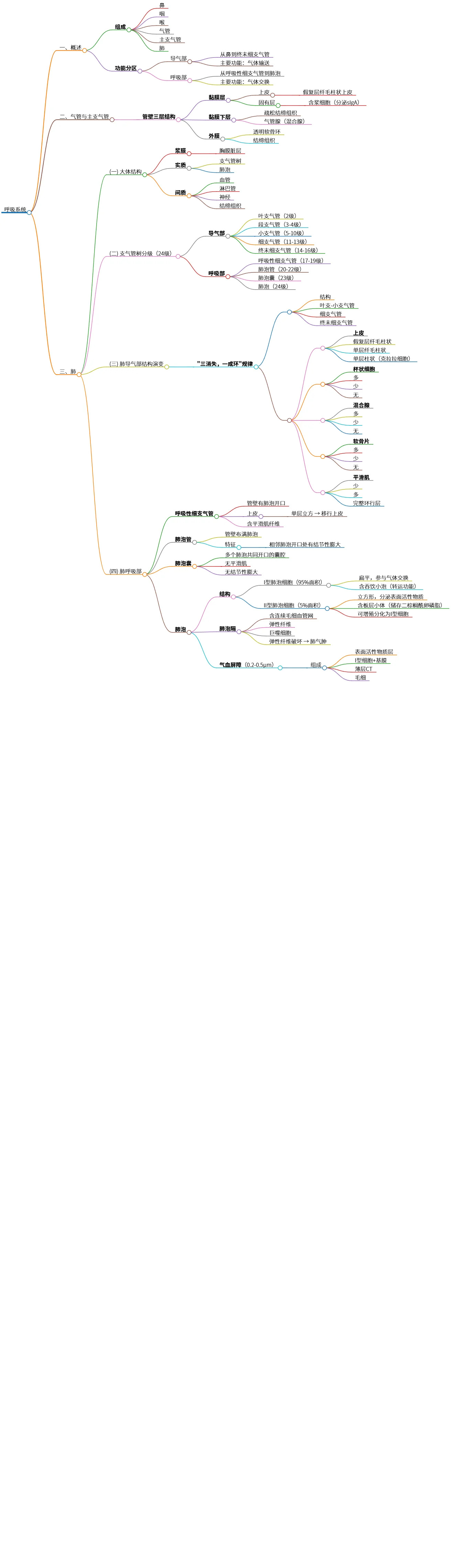 呼吸系统概述及结构与功能分析与学习资源