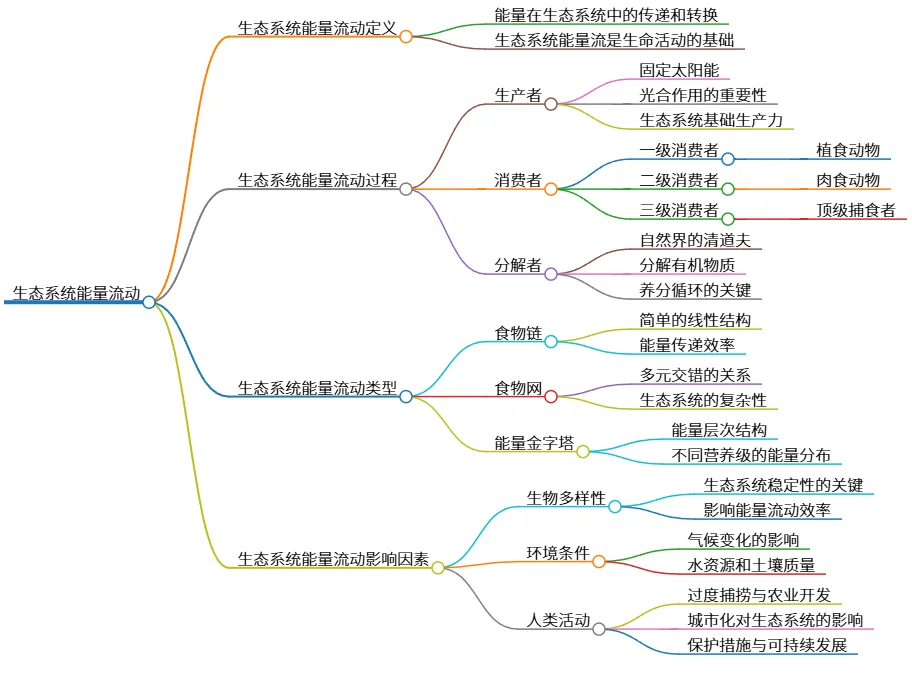 生态系统能量流动：过程、类型及影响因素