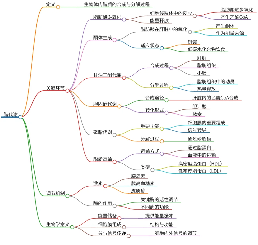 脂代谢：关键环节、途径及生物学意义