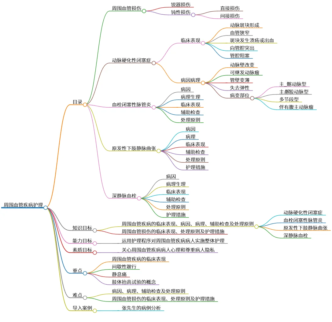 周围血管疾病护理：临床表现及整体护理